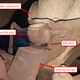 Illustration for article titled Here's How To Replace The Worst Type Of Ball Joints In The Automotive World